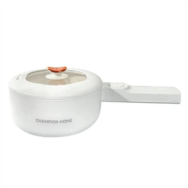 Daugiafunkcinė elektrinė viryklė